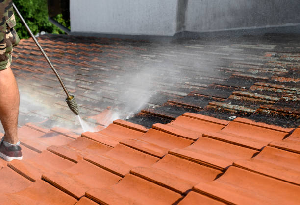 Best Affordable Pressure Washing  in Mapleton, ND