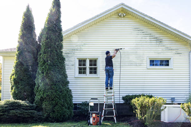 Best Sidewalk Pressure Washing  in Mapleton, ND