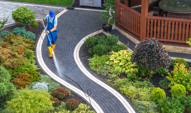 Best Commercial Building Pressure Washing  in Mapleton, ND